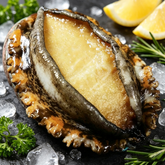 Frozen Abalone (With Shell)