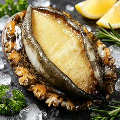 Frozen Abalone (With Shell)