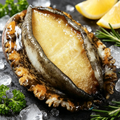 Frozen Abalone (With Shell)