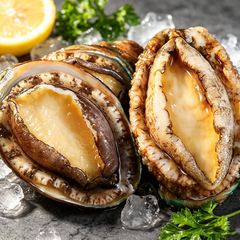 Frozen Abalone (With Shell)